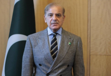 FM spells out contours of Pakistan’s successful foreign policy during last year 