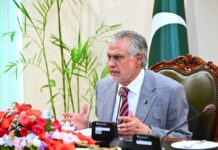 Qureshi, EU ambassador discuss bilateral relations 