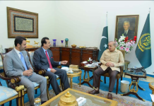 President emphasizes need for extending internet connectivity across AJK, GB 