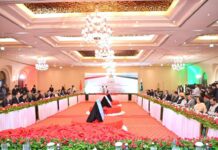 PM chairs meeting on power, petroleum sectors 