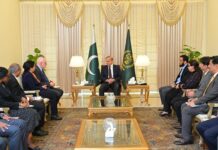 Pakistan to gain influence in world with strong economy, defence: President 