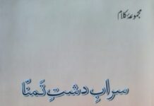 نړۍ كه افغانستان ته پاملرنه ونه كړه نو انساني الميه رامخې ته كېدې شي٬ مخدوم شاہ محمود قرېشي خپل سعودي همڅنګ سره په ملاقات كښې خبرې 