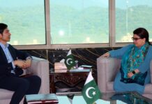 PM, NA deputy speaker discuss political situation, development works 