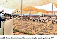 Islam teachings real solution for societal issues: Rana Tanveer