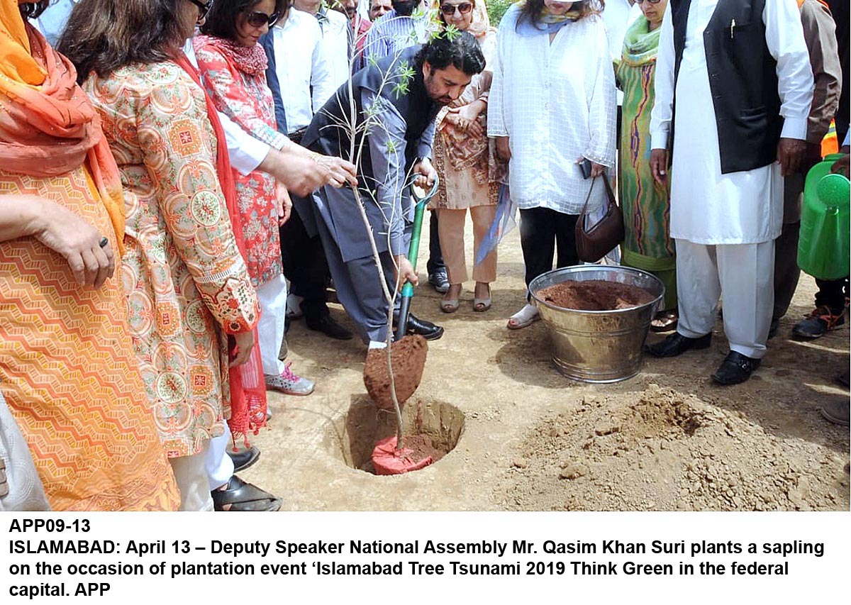 اپنڑے ماحول اتے نسلاں دے چنگے مستقبل کیتے شجر کا ری تے توجہ ڈیونڑی ہوسی، ڈپٹی سپیکر قومی اسمبلی قاسم خان سوری دا شجر کاری دی تقریب نال خطاب