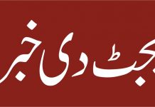 پی ایس ڈی پی؛وزرات موسمیاتی تبدیلی دے 6 منصوبیاں کیتے 5 ارب روپے مختص