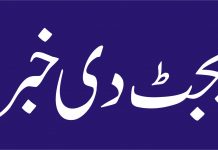 پی ایس ڈی پی دے تحت انسانی حقوق ڈویژن دے منصوبیاں کیتے 256 ملین روپے مختص